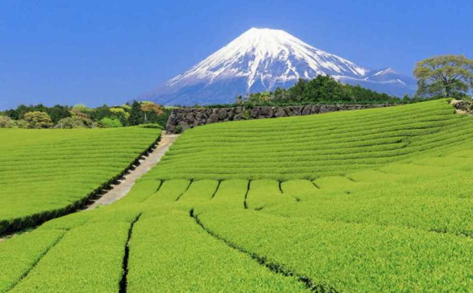 静岡について
